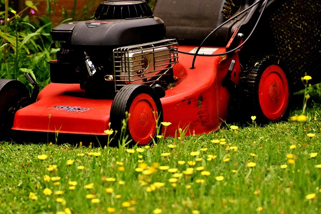 Lawn mower on grass