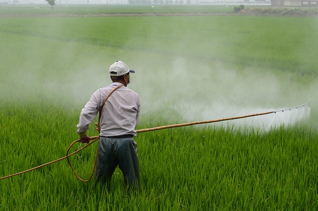 Farmer spraying herbicide in field
