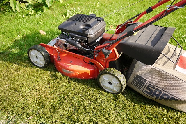 Lawn mower on grass