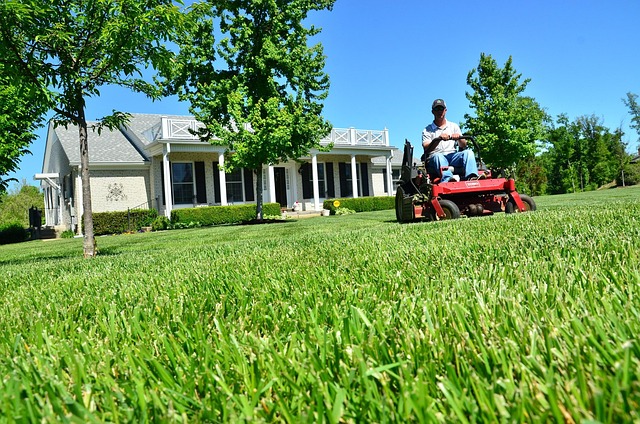 Lawn care maintenance