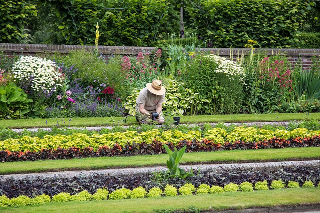 Man gardening with flowers