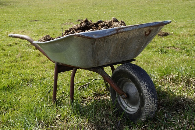 Wheelbarrow with gardening tools